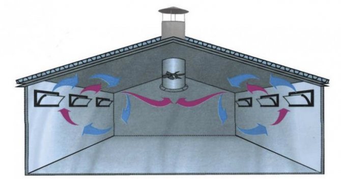 Abris pour animaux et oiseaux : plan de construction