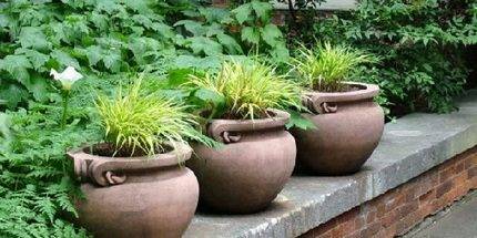 Comment trouver de l'eau pour un puits: un aperçu des moyens les plus efficaces de trouver de l'eau sur le site