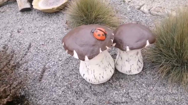 Placard sec à faire soi-même pour les chalets d'été: un guide étape par étape pour construire un placard sec en tourbe