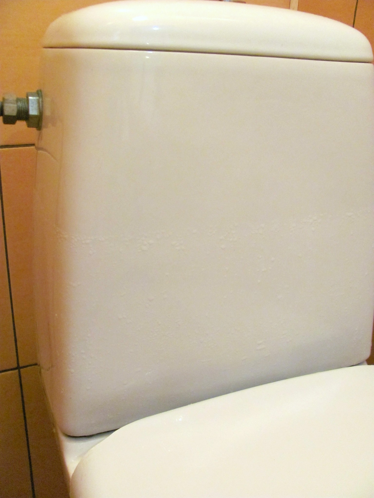 Condensation sur la cuvette des toilettes comment s'en débarrasser