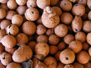 Humidificateur DIY : options d'instruments et guide de fabrication