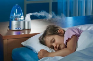 Humidificateurs silencieux pour la maison : classement TOP-10 des unités les plus silencieuses