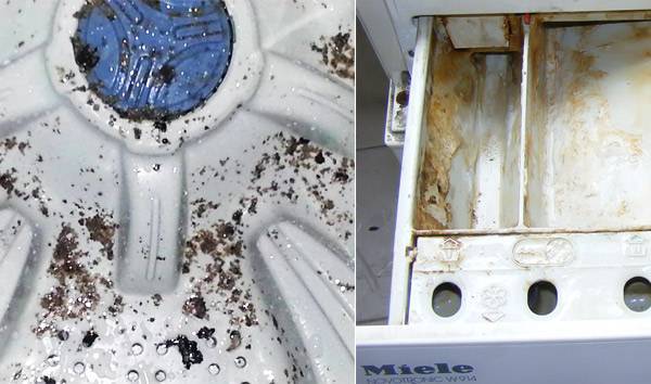 Moisissure noire dans la machine à laver : comment s'en débarrasser ?