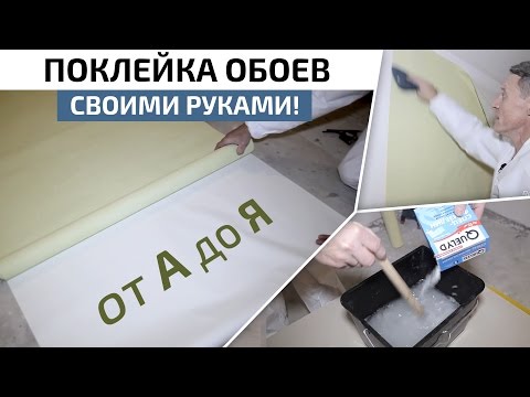 Comment coller correctement du papier peint intissé : instructions étape par étape et conseils d'experts