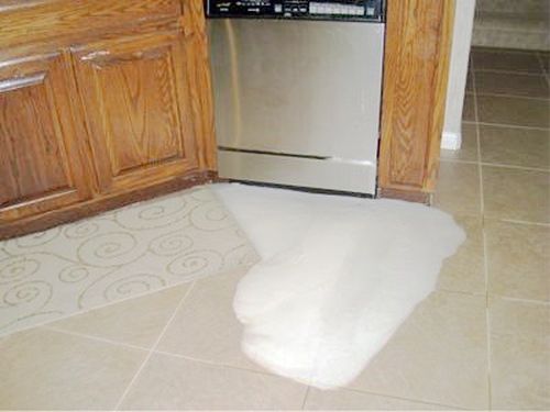 Capteur d'eau de lave-vaisselle : types, appareil, comment vérifier + réparer