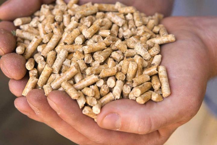 Pellets - qu'est-ce que c'est? équipements pour la production de combustible et de granulés de bois pour chaudières et pas seulement