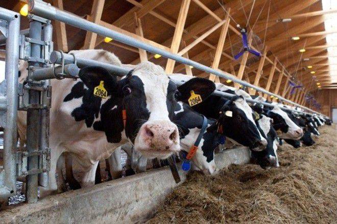 Ventilation de grange à faire soi-même: types de systèmes, taux de renouvellement d'air + procédure d'aménagement du système