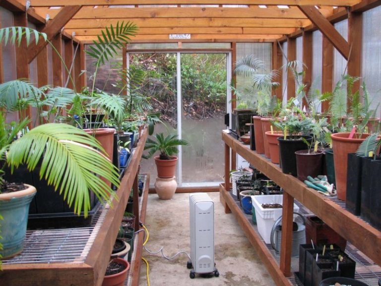 Aménager une serre à l'intérieur: astuces de planification (59 photos) comment équiper une serre en polycarbonate 3x6, équipement de bricolage à l'intérieur