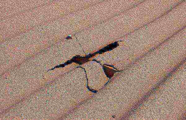 Comment couvrir les fissures de l'ardoise sur le toit