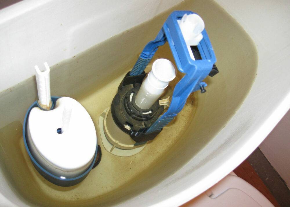 Pourquoi le bouton des toilettes ne coule pas complètement et vous devez le tenir pour le rincer complètement