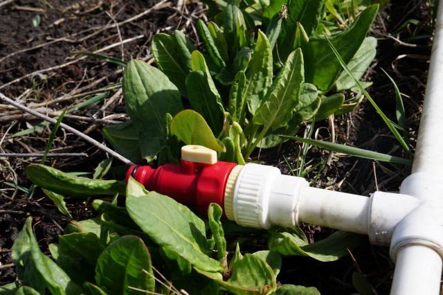 Comment faire un système d'irrigation goutte à goutte pour les arbres?