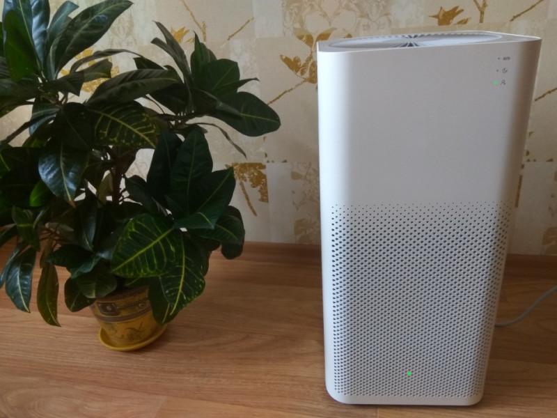 Un humidificateur aide-t-il en cas d'allergies : recommandations pour les personnes allergiques et asthmatiques