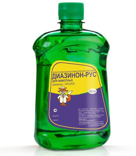 Quartier animé : pourquoi il ne faut pas détruire un nid de guêpes