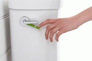 Comment choisir la bonne toilette: ce qu'il faut rechercher avant d'acheter + examen des fabricants