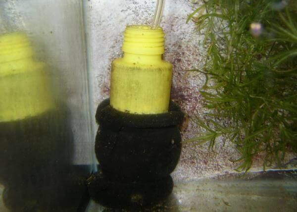 Comment fabriquer un filtre à eau de vos propres mains: un aperçu des produits maison populaires