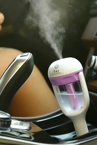 Comment fonctionne un humidificateur: appareil, principe de fonctionnement et types d'appareils