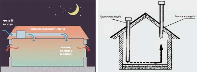 Ventilation à faire soi-même dans un poulailler en hiver: un aperçu des meilleurs schémas et nuances d'aménagement