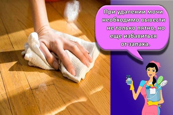 4 astuces pour aider à nettoyer le sol de la saleté