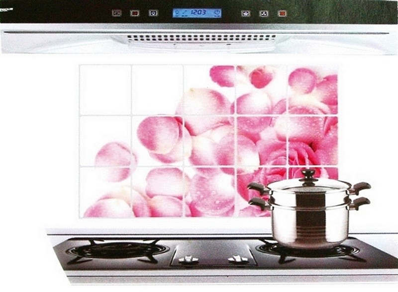 Comment recouvrir une cuisinière à gaz: options et instructions pour finir un mur près d'une cuisinière à gaz + mesures de sécurité