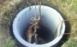 Puisard à faire soi-même - aperçu et comparaison des options de conception