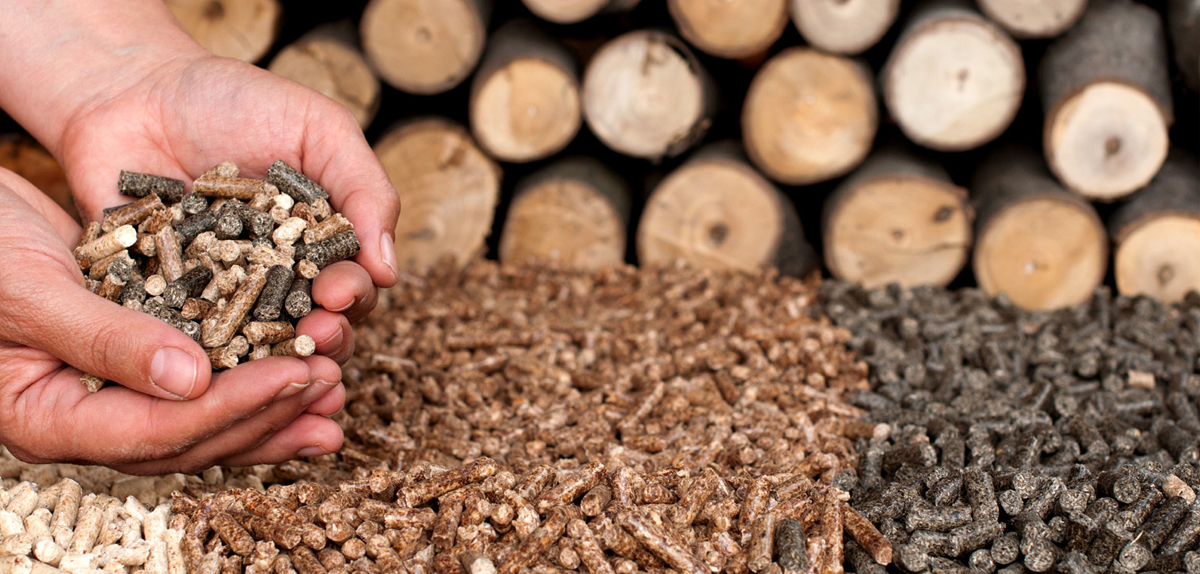 Technologie de production de pellets - à partir de sciure de bois, de bois, de tourbe, de dalles et de paille