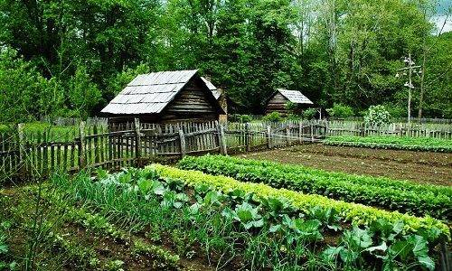Comment réparer la pompe Agidel : un aperçu des pannes typiques et comment les réparer