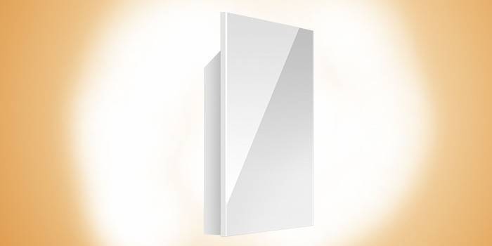 Radiateurs infrarouges avec thermostat pour chalets d'été - conseils d'experts