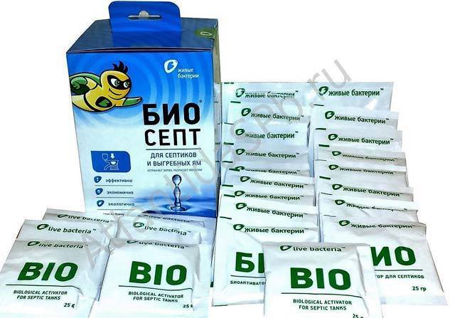 Des bactéries pour une fosse septique qui n'ont pas peur de la chimie - tout sur les eaux usées