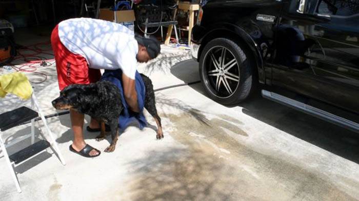 Artisanat de bricolage à partir de tuyaux en propylène: options maison pour la maison