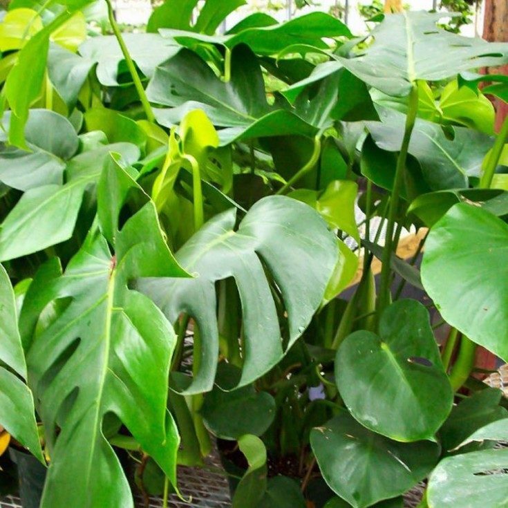 7 endroits les plus poussiéreux de la maison qui doivent être nettoyés en premier