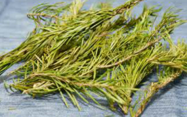 Comment transformer un aspirateur en désodorisant