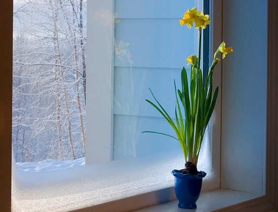 La ventilation dans l'appartement ne fonctionne pas: causes et solutions