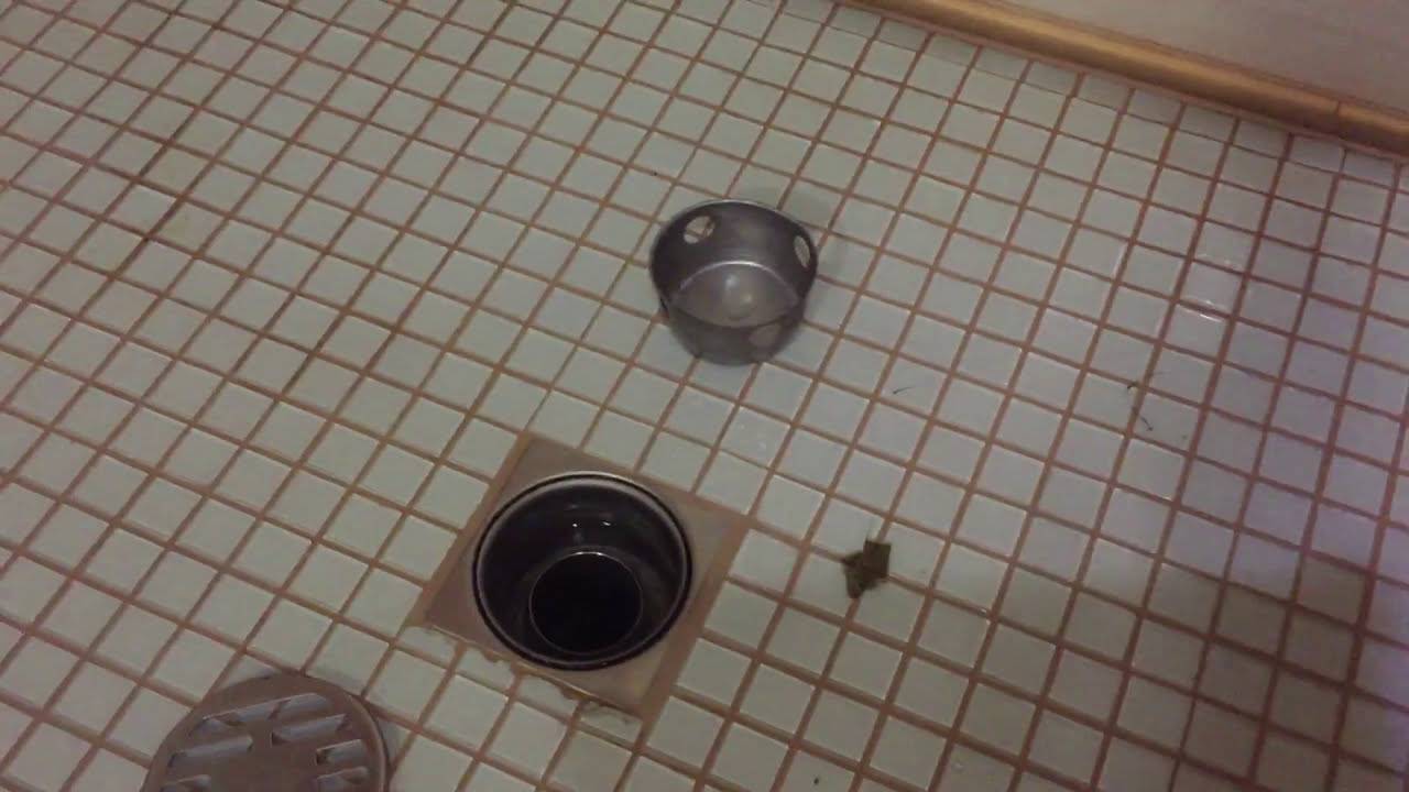 Installation de receveur de douche à faire soi-même : règles d'installation importantes