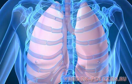 Qu'est-ce que l'ionisation de l'air : les inconvénients et les avantages de l'utilisation d'un ioniseur + comment choisir le bon