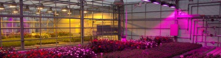 Lampes aux halogénures métalliques : types, appareil, avantages et inconvénients + règles de sélection