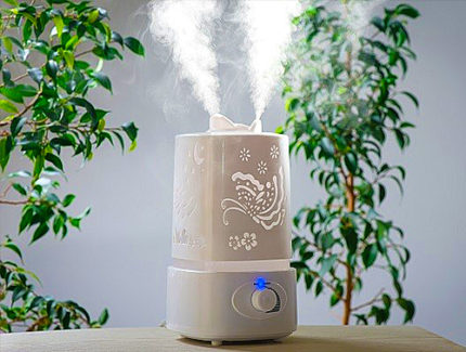 Peut-on ajouter des huiles essentielles à un humidificateur ? Les spécificités de l'utilisation des arômes
