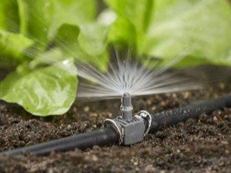 Buse pour tuyau d'irrigation : directives de sélection + aperçu des produits des marques populaires