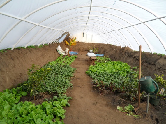 Chauffage des serres et des vérandas : aperçu de 5 options de chauffage différentes