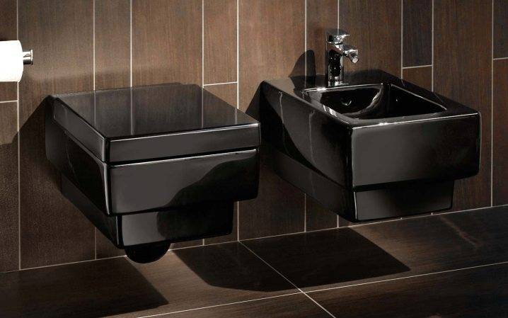 Comment choisir la bonne toilette: ce qu'il faut rechercher avant d'acheter + examen des fabricants