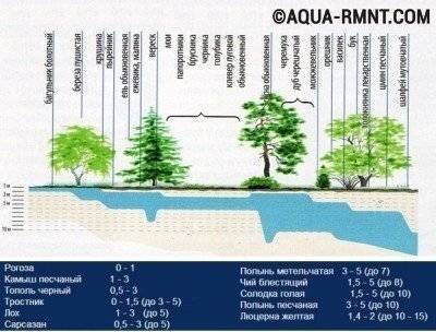 Comment trouver de l'eau pour un puits sur votre site