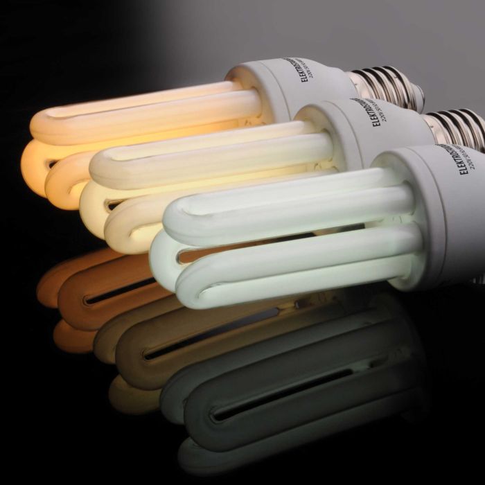 Lampes à économie d'énergie - 95 photos de modèles optimaux et le principe de leur utilisation