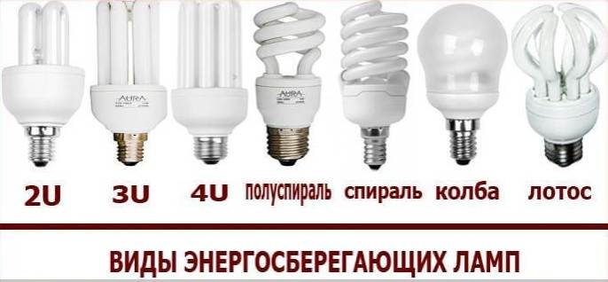 Lampes à économie d'énergie: les principaux types de leurs caractéristiques et des conseils pour choisir la bonne lampe moderne (95 photos)