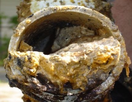 Libérer un ami blanc : réparer un blocage dans les toilettes sans piston ni plomberie