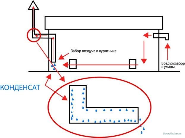 Hotte dans le poulailler - comment faire la ventilation de vos propres mains