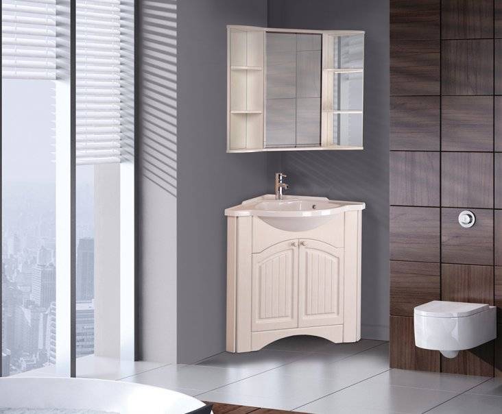 Double vasque : un aperçu des sanitaires insolites + un exemple de travaux d'installation