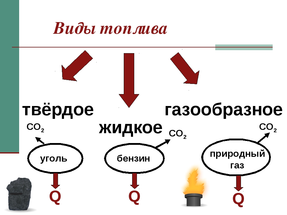 Principales différences entre le biodiesel et les biocarburants 