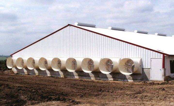 Hotte dans le poulailler: les meilleures façons d'équiper le système de ventilation de la maison