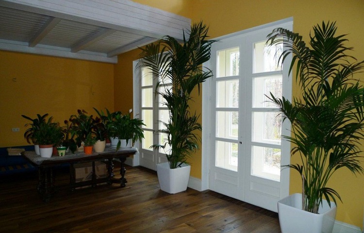 Comment humidifier l'air sans humidificateur dans un appartement en hiver: les meilleures options pratiques