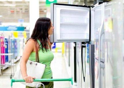 Réfrigérateurs "Don": critiques, revue des 5 meilleurs modèles, recommandations pour choisir