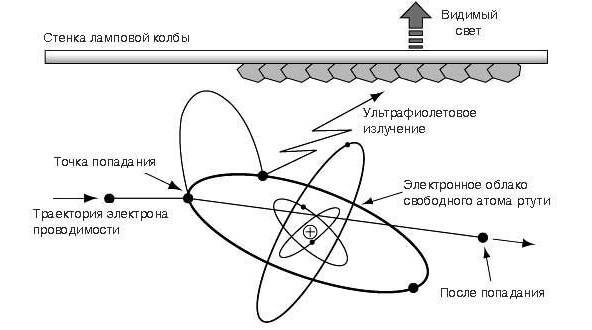 Lampes fluorescentes : paramètres, appareil, circuit, avantages et inconvénients par rapport aux autres
